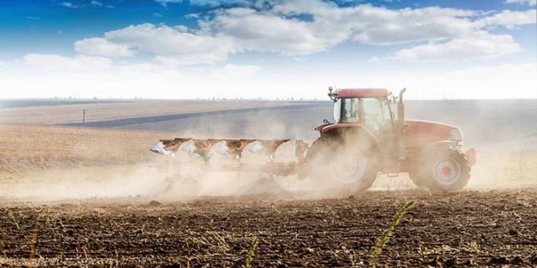 Bereketin başkentleri belli oldu! O ülkelerin toprağı altın değerinde: Peki, tarımda Türkiye’nin yeri nerede? 1
